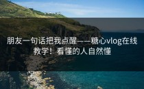 朋友一句话把我点醒——糖心vlog在线教学！看懂的人自然懂